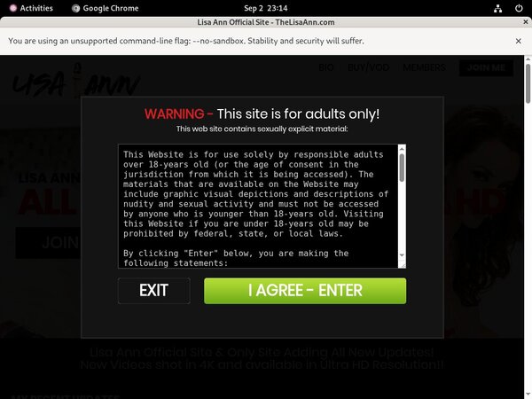 Thelisaann.com Codes