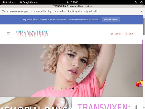 TransVixen Password Blog