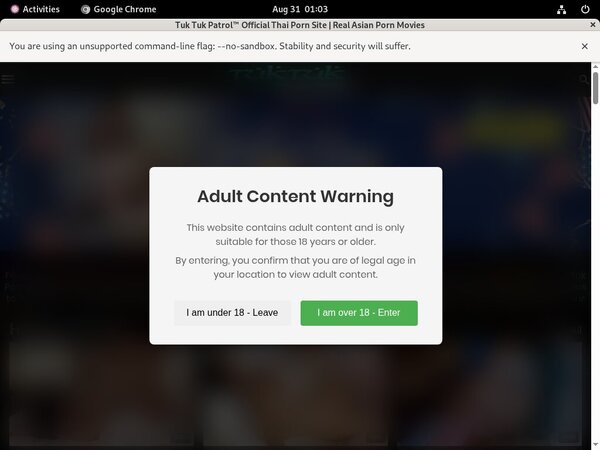 Tuk Tuk Patrol Accounts Working