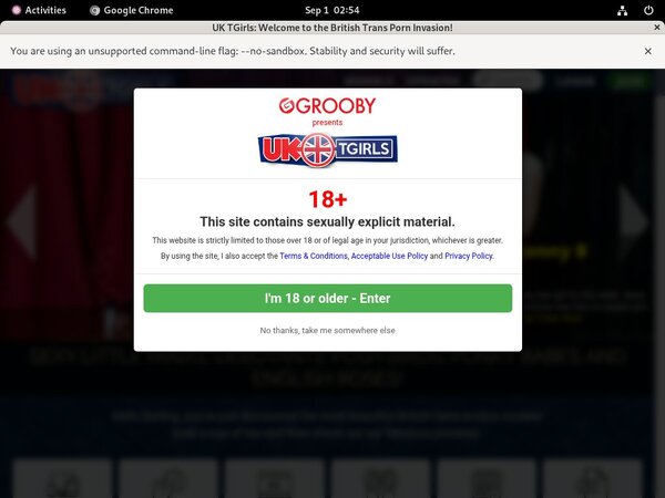 Uk-tgirls.com Passwords 2019