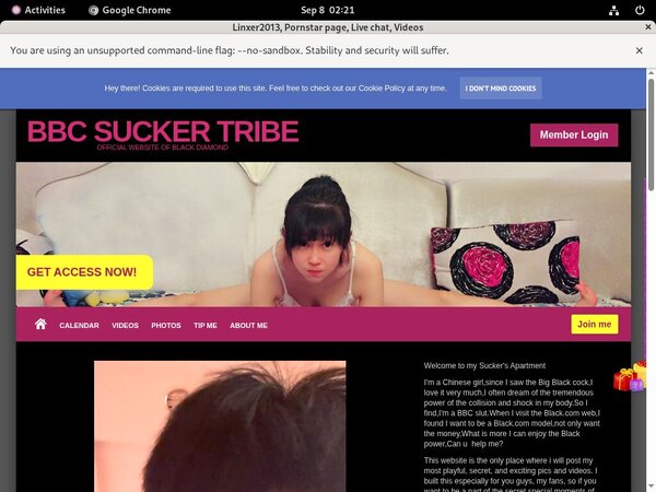 Linxer2013.modelcentro.com With Discount