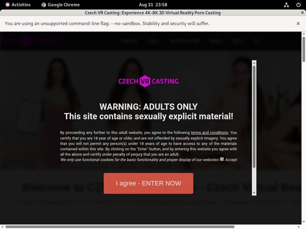 Active Czech VR Casting Passwords