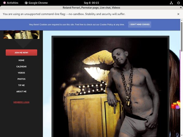 Free Pass For Rolandferrari.modelcentro.com