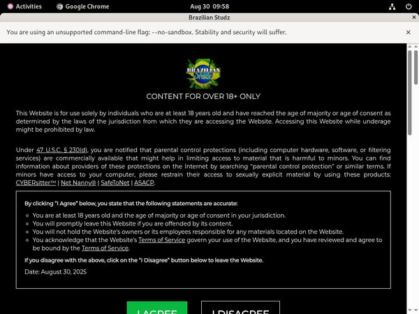 Brazilian Studz Bank Payment